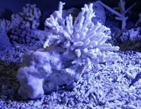 キャプチャ10
