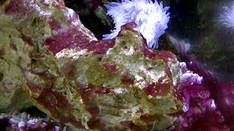 PIC_0004