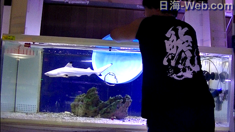 capture-20180117-083449