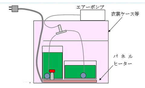 capture-20190213-144154