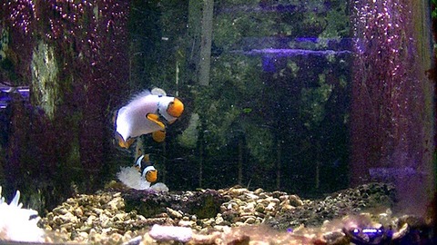 PIC_0057
