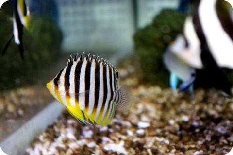 05150911_5555399751292