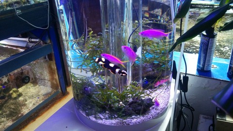 [画像:c5734624-s.jpg]