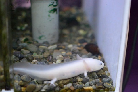 10155143_1001289723215248_8432147429464107303_n