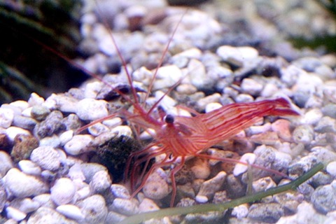 11142357_5466185e8bbf2