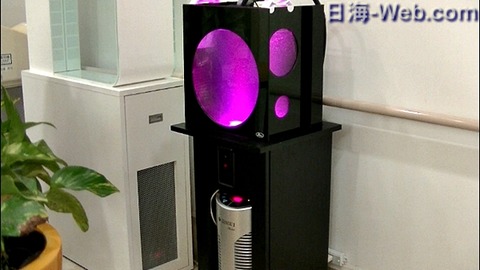 capture-20180121-090534