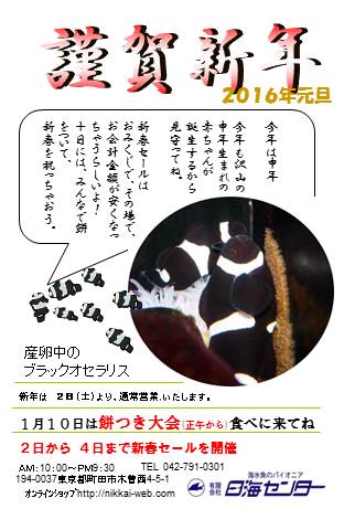 年賀2016