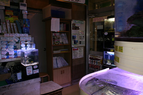 dc882f16-s.jpg