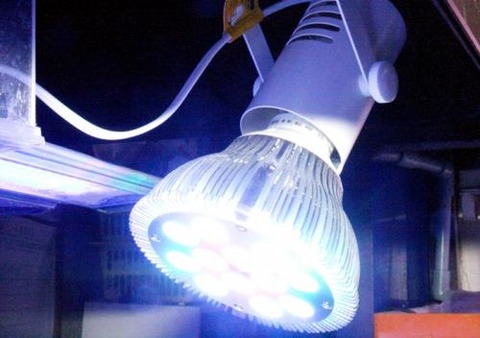 11092246_5823289a1fbb7[1]