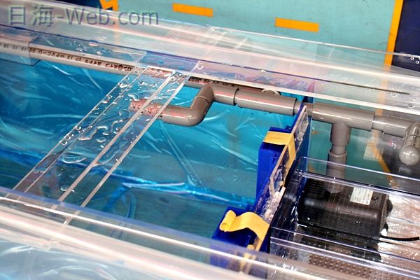 これが あの かんたん槽NK－120だ | 水槽紹介 | 海水魚の