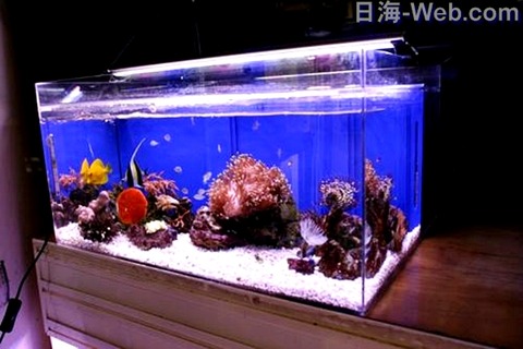 09152214_5416e6296c2f9