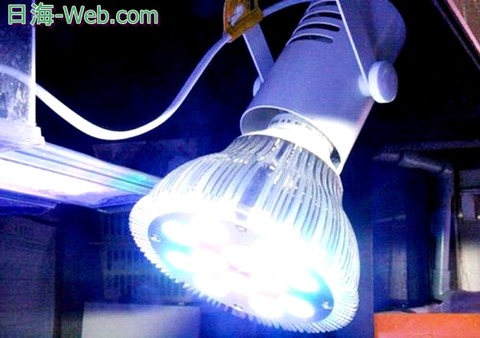 11092246_582328ce5d6dc