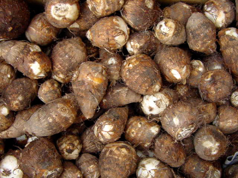 07021841_4c2db42daae93