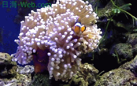 09172324_59be858d47c63