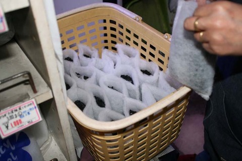 IMG_2648-1