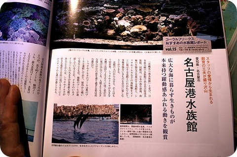 コーラルフリークス15 新発売 | 書籍のご紹介 | 海水魚のパイオニア