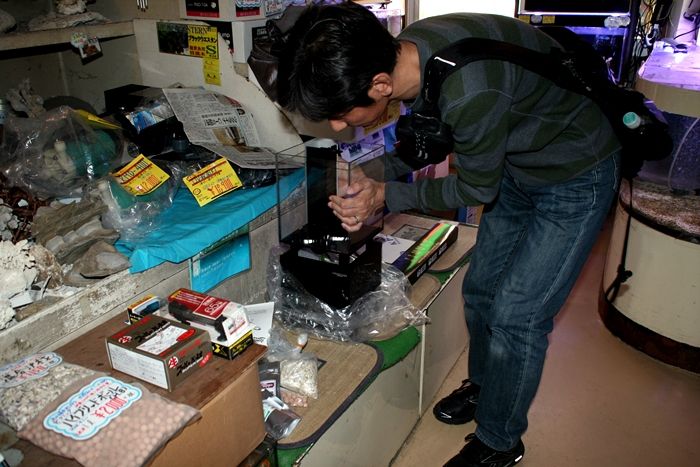 大人気のニッソークロスミニ その理由は・・・ | くまぱぱのブログ