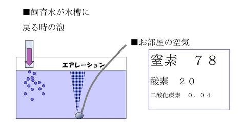 イラスト水槽