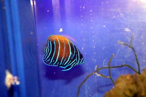 02152118_52ff5b011adcc[1]