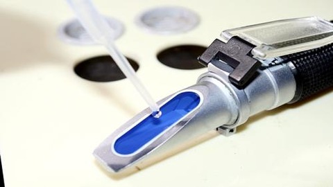 01290939_54c981240f245[1]