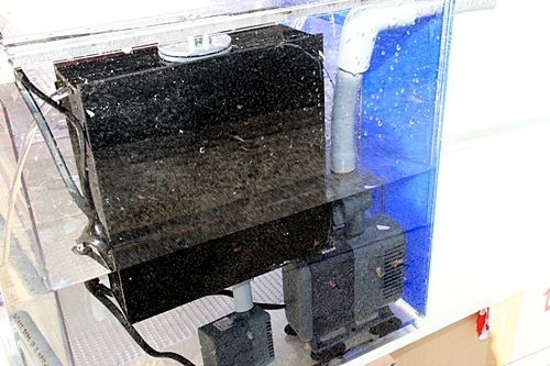 出窓に かんたん槽で最大級クラスの NK－1200W | 未分類 | 海水