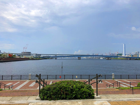 toyosu