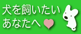 HOGO�� ONE MATCHING���ݸ�ޥå��󥰥����ȡ�