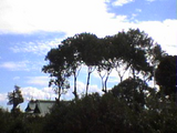 空