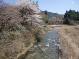 CIMG3703