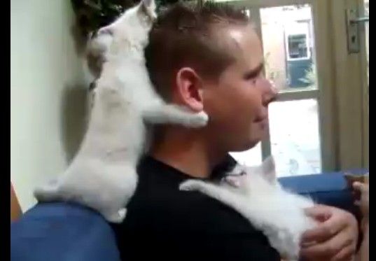 �̤�ã�����ؤβ��������ϥ�Ѥʤ���