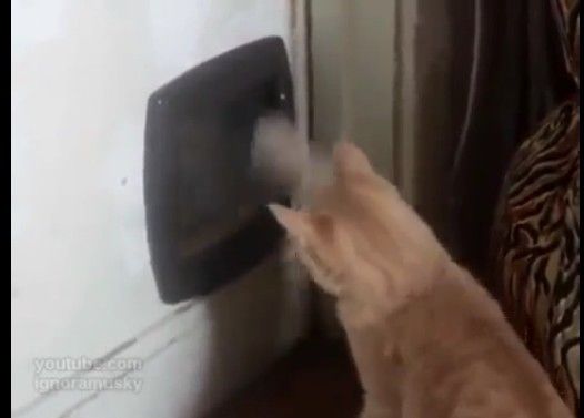 �С���������ǭ