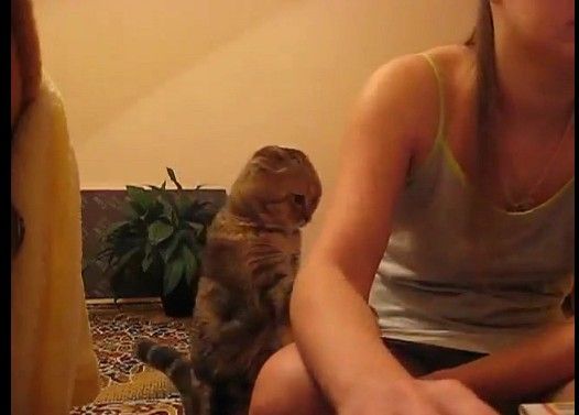 ���ޤä��ߤ����ơؤȤ�Ȥ�٤�³����ǭ�����襤�������