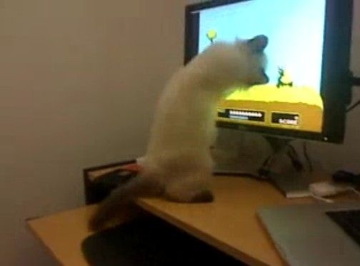 �ե��ߥ���Υ��å��ϥ�Ȥ�ĩ��
