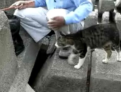 �⤷������ʿ�ʹ��ĥ���������鲿������󤹤�