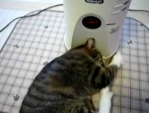 ǭvs���ꥫ��ޥ�����