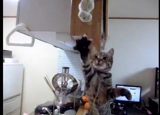 Ω���Ѥ����Ĥʤ��襤��ŷ�ͻ�ǭ�����륭���ѡ�