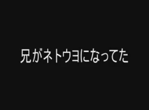 兄がネトウヨになってた