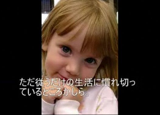 外国人に聞いた、日本の好きなところ、嫌いなところ