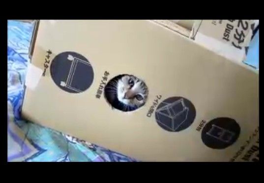 �郎��ä��̤��ϥ���
