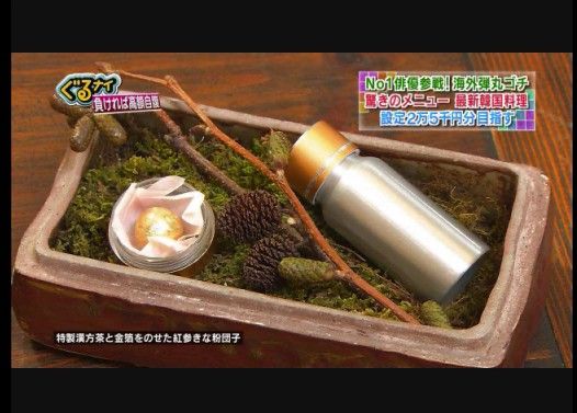 【盆栽】ぐるナイの韓国料理酷すぎワロタwww