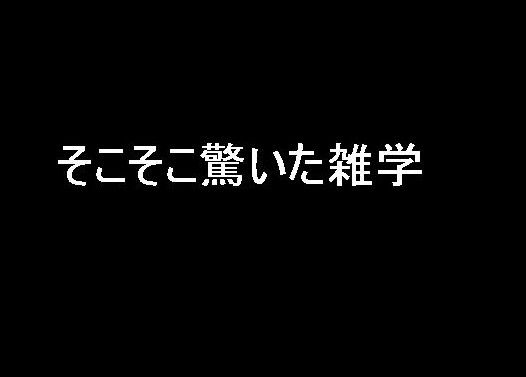 そこそこ驚いた雑学