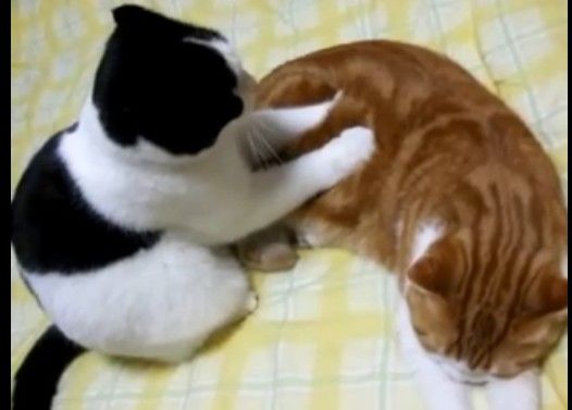 もみもみして