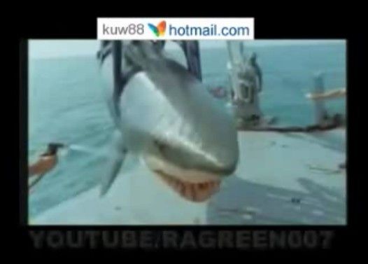 �������ޤ���������椫��
