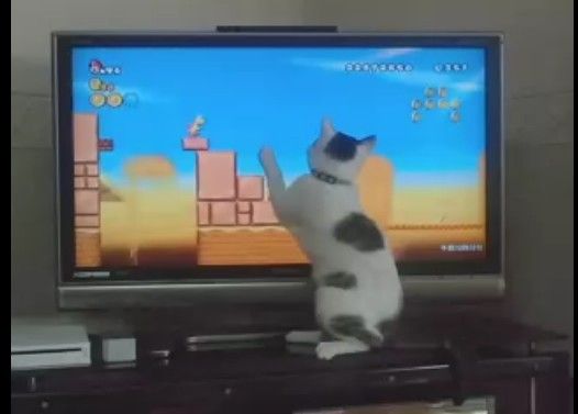 �����UP