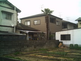 画像 528