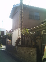 画像 651