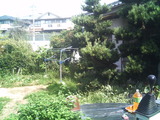 画像 584