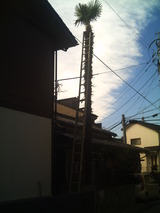 画像 646