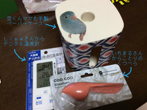BlogPaint