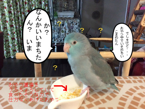 BlogPaint